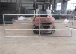 hot dipped galvanized electrostatic powder coated Farm gate 72'' high 16 gauge 6