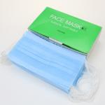 Food Processing Disposable Earloop Face Mask 2 Ply Anti - Pollution