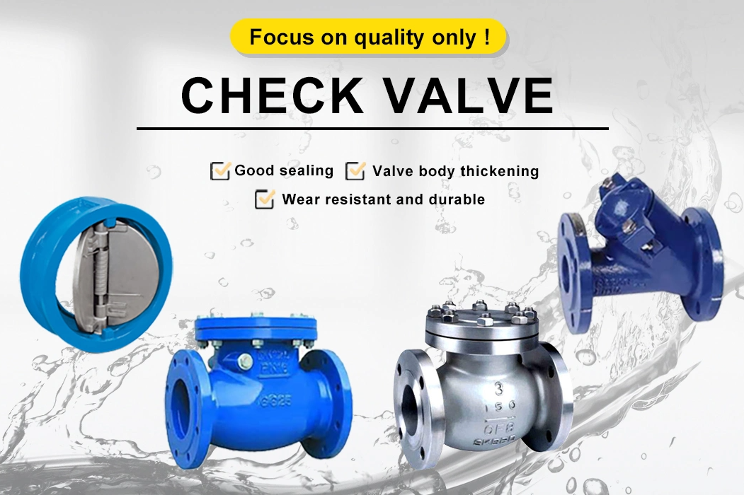 Double Flange Swing Stainless Steel Gate Check Valve for Pn16 Cast Iron Ductile Iron