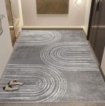 2024 New Door Entry Light Luxury High Sense Floor Carpet Rug