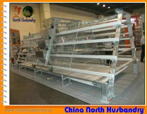Quality Poultry Cages - Broiler Breeder Layer Cages, Battery Cages For wholesale