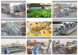 Quality Fresh Cut Vegetable Canning Equipment Stainless Steel IP65 Protection Grade wholesale