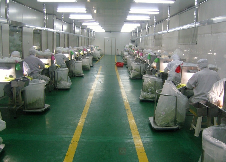 factory11.JPG