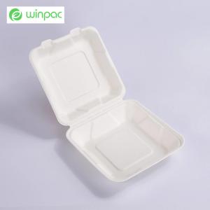 Quality Sustainable Compostable Sugarcane Bagasse Clamshell Takeaway Containers 8 Inch wholesale