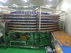 Quality SUS201 Square Steel Tube Single Tower Bread Cooling Conveyor wholesale