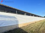 Easy Build Piggery Shed Construction Steel Structure Cow House Construction