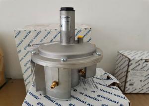 Quality FGDR32/50 Model Aluminium Gas Pressure Regulator With Built In Filter Italy Giuliani Anello Made wholesale