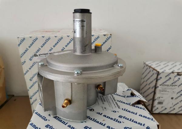 FGDR32/50 Model Aluminium Gas Pressure Regulator With Built In Filter Italy