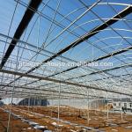 Hydroponic System for Aquaponics in Multi-Span Agricultural Greenhouse