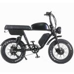 1000W Full Suspension Electric Fat Bike Electric Bicycle Fat Tires Electric