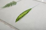 High Toughness Carbon Heating Film , 300W Underfloor Heating For Laminate