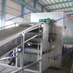 Granular Activated Carbon DW / DWC Belt Dryer Heat Transfer Oil