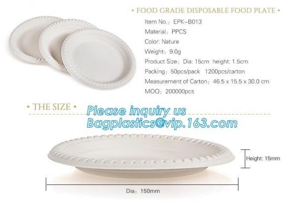 Supermarket display wholesale storage fruit food defrosting plastic tray,manufacturer supply bpa free reusable 3 compart