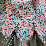 Fully Automatic High Speed Nitrogen Vertical Form Fill Seal Pouch Snack Food