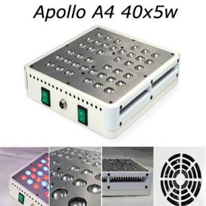 Quality Excellent 2016 Apollo Design 200w led grow light 5w led bead growing led horticultural wholesale