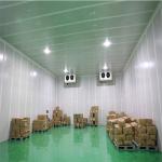 Air Cooler Copeland SS 304 Commercial Walk In Freezer