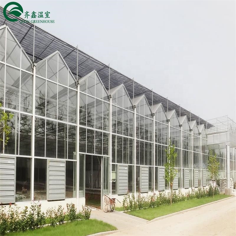 Large Glass Covered Garden Greenhouses for Versatile Planting Options