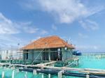 Hotel Roofing Solution Anti-UV Synthetic Palm Leaves Roof Thatch with Nylon