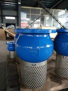 Quality DIN FOOT VALVE wholesale