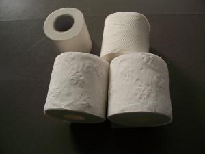 Quality Embossed Virgin White Toilet Tissue Paper Roll , 2ply wholesale
