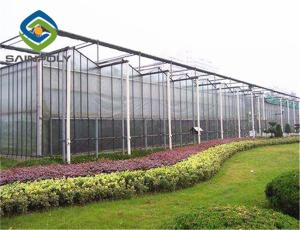 Quality 150N/MM Multi Span Glass Greenhouse of cucumbers vegetable wholesale