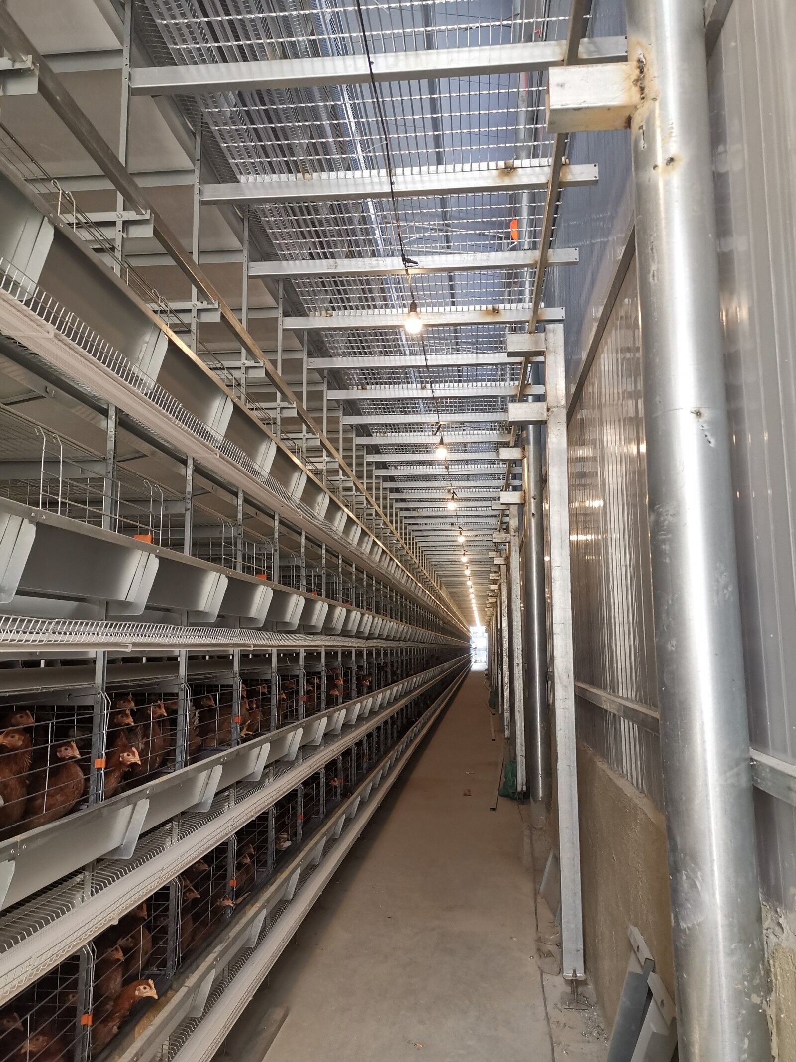 Stacked Hot-dip Galvanized Chicken Cages For Layers Improve Feeding Density And Boost Productivity.