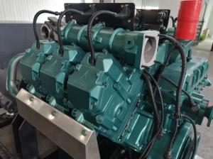Quality 260KW Natural Gas Biogas LPG Power Generator CBM Gas Electricity Generator wholesale