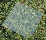 Hot Sale Frameless Solar Photovoltaic Glass Panel with High Conversion