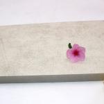 1220x2440 mm Marble pet faced Plywood , Coated Mdf Board