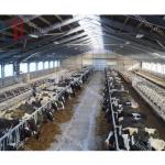 Prefab Steel Structure Warehouse , Metal Dairy Barn Building