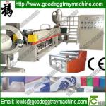 Expanded PE Foam Sheet Plant