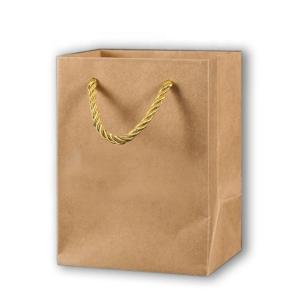 Quality Brown Shopping Paper Craft Bags With Handles Eco Friendly Material wholesale