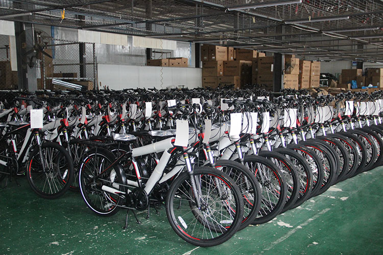 12 In Small Portable Electric Bike Battery 36v 10ah Battery Operated Cycle