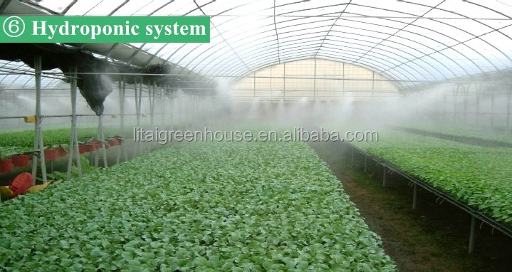 Namibia Africa Gutter Connected Greenhouse with Optimal Ventilation and Single Layer