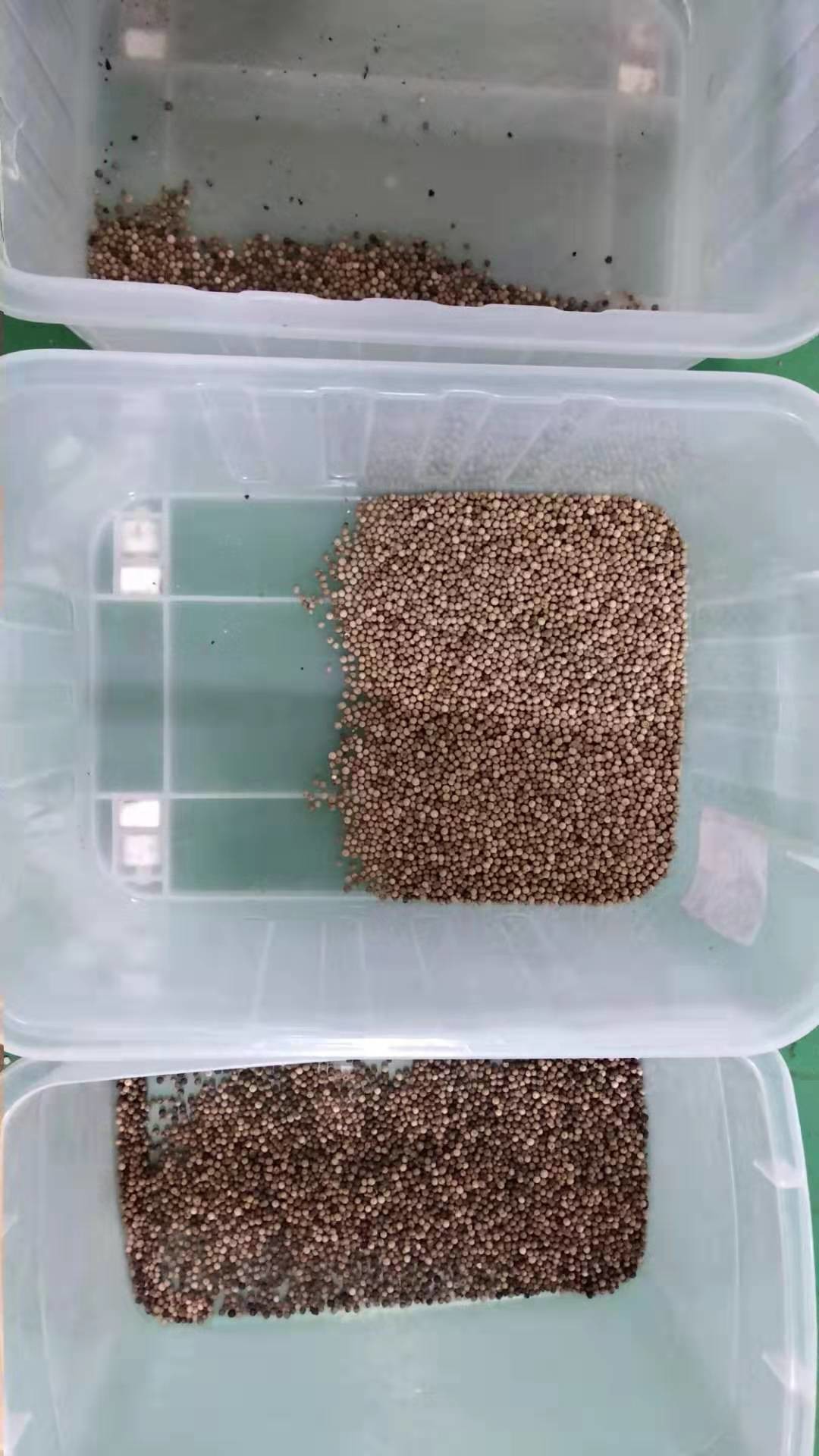 Automatic CCD Grain Color Sorter , 3t/h Pepper Sorting Machine