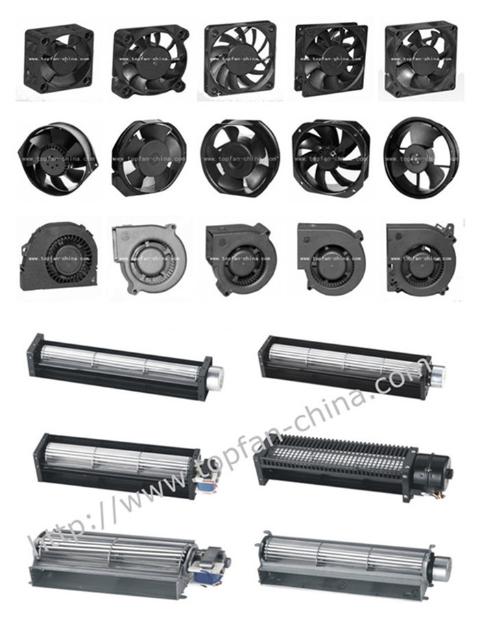 Products_Overveiw.jpg