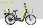 350W Pedal Assist Electric Bike Scooter 40km Steel Frame