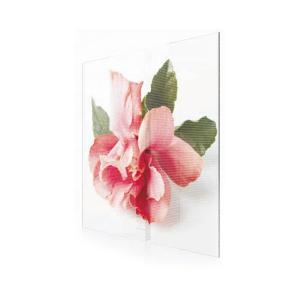 Quality Exhibitions High-transparent display EXCEL LED wholesale