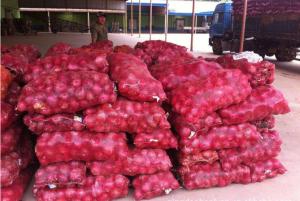 Quality Stress Relieving Spicy Red Onions For Restaurant wholesale