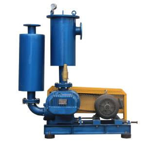 Quality Three Lobes Roots Air Blower Vacuum Pump For Wastewater Treatment wholesale