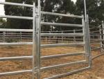 Metal Cattle / Horse Fence Panels / Portable Corral Panels Corrosion Resistant