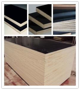 Quality Hot Sale Plywood For Construction Materials Prices , China Hot Film Faced Plywoood Factory wholesale