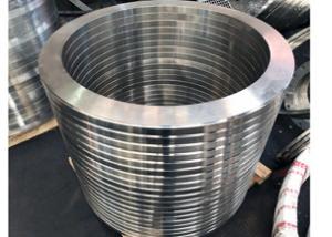 China Customized Stainless Dn15 API Forged Steel Flanges on sale