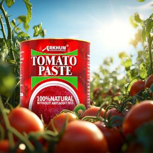 Quality 340g Bottle Ketchup Tin Tomato Paste With Salt Citric Acid wholesale