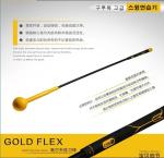 Golf Swing Trainer