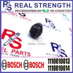 BOSCH Control Valve relief valve 1110010013 1110010014 1110010026 1110010027