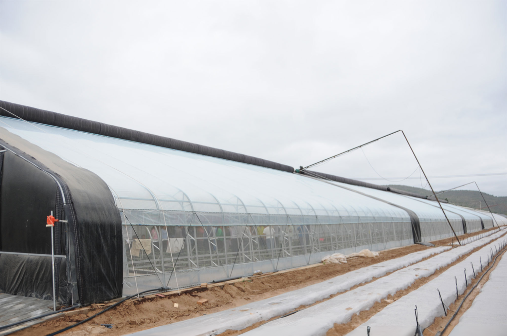 150/200 Micro Film Covered Solar Greenhouse For Yield Cucumber Farming