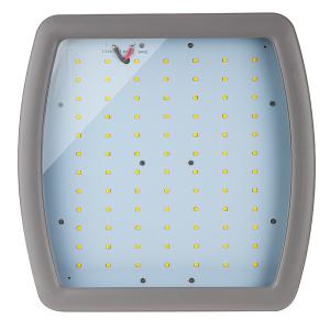 Quality Safe Work Ip68 Led Spotlight 100w Corrosion Resistant Light Fixtures wholesale