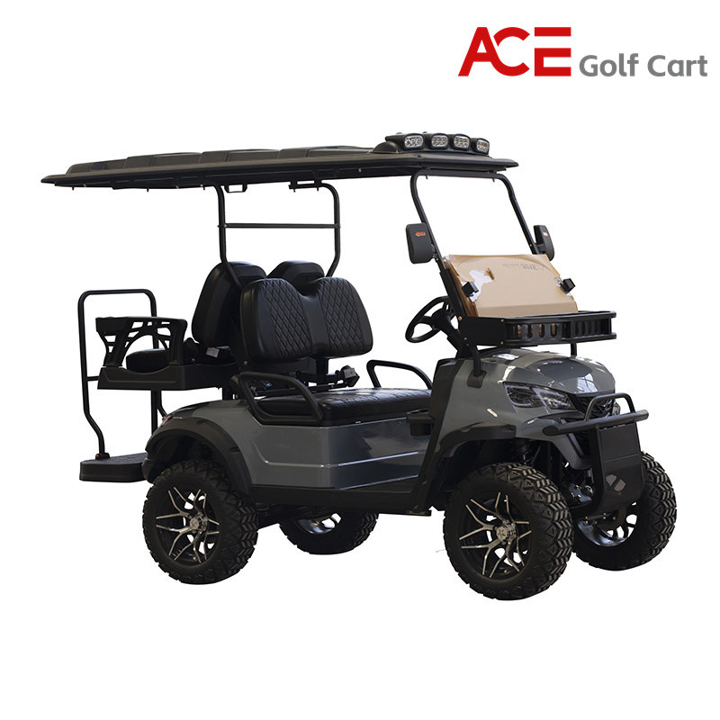 OEM Color Mini Golf Cart Buggy Tour Sightseeing Car CE Approval