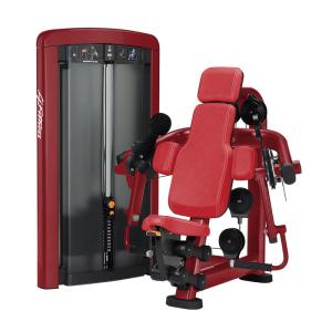 Quality Customizable Items Heavy Duty Gym Exercise Equipment Biceps Curl Fitness For Gym wholesale